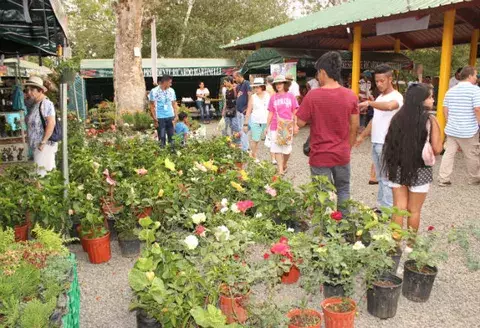 Buscan dar repunte a la Feria de Veraguas tras varios años de decadencia