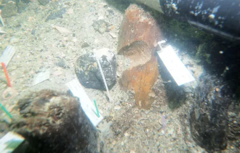 Hallan un cementerio de 7,000 años de antigüedad bajo el Golfo de México
