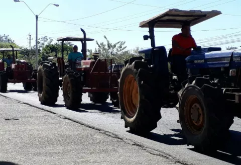 Productores de frijoles bloquean entrada del IMA en David y exigen respuesta