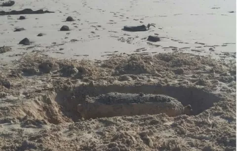 Esperan orden de Ministerio de Ambiente para detonar bomba en isla Iguana