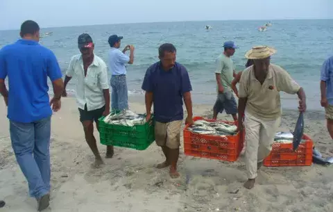 Productos del mar iniciarán las exportaciones a China 