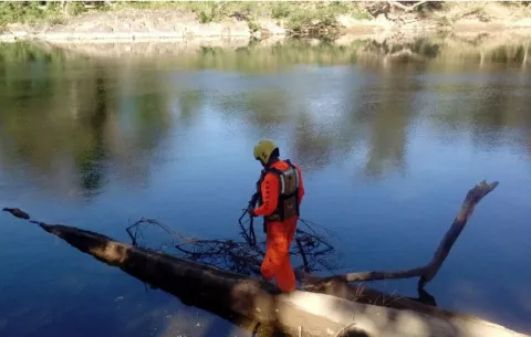 Lagarto merodea por el balneario del río Santa María