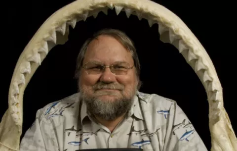 En el mundo hubo unos 155 ataques de tiburones en el 2017
