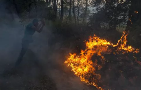 Gran incendio forestal daña 800 hectáreas de bosque