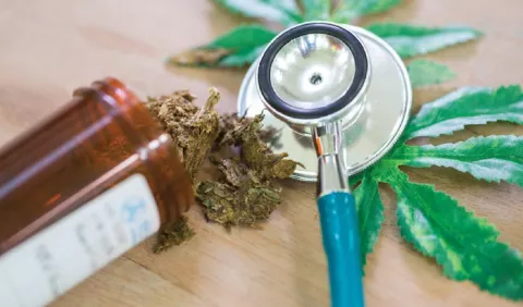 Cannabis medicinal, opción que enfrenta a pacientes y autoridades