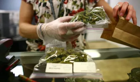 Aprueban importación de cannabis medicinal