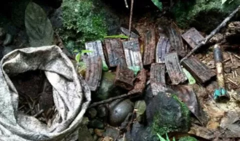 Detienen a un hombre con12 granadas