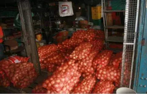 Productores de cebolla no cumplen con reglamento para comercializar