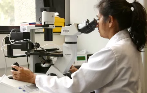 Confusión y mal diagnóstico causan el crecimiento del zika, dengue y chikunguña 