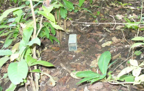 Confirman primer caso de Hantavirus en Herrera