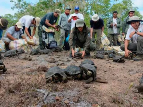 Ecuador celebra 20 años de creación de la Reserva Marina de Galápagos