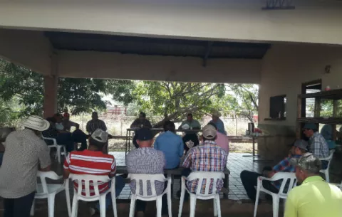 Maiceros con más de 800 mil quintales sin comprar en Los Santos