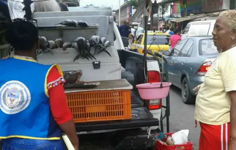 Realizan operativos por Semana Santa en Colón