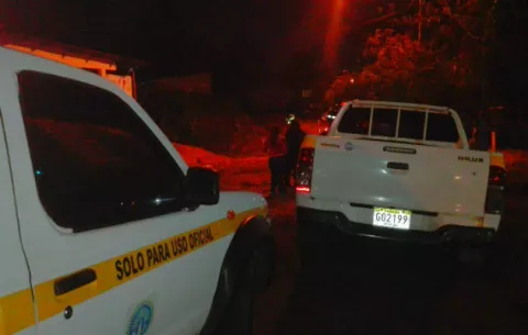 Hombre pierde la vida al caer de palma de pipas en La Chorrera