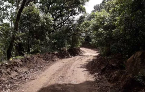 En Boquete, presentan otra denuncia por daño ecológico en volcán Barú