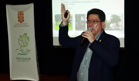 Alcaldía capital cuantifica árboles y sus ubicaciones