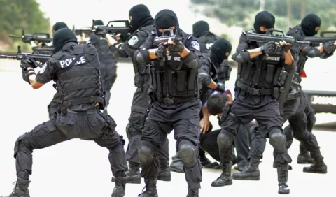 Nuevo plan del Minseg estaría descuidando la seguridad nacional