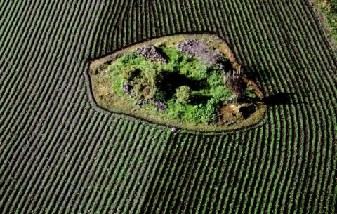 Peligra el bienestar humano por la falta de capacidad de recuperación de la naturaleza