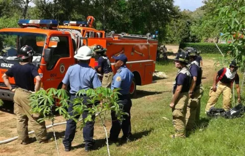 ¡Alarma! Se intensifica presencia de abejas africanas en Herrera 