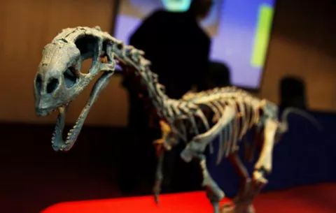 Descubren restos de dinosaurio semiarticulado en Magallanes de Chile