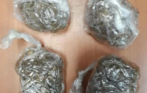 Desmantelan a sujetos dedicados a la distribución y venta de drogas