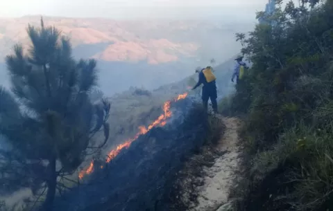 Fuego arrasa con más de 20 hectáreas en la reserva forestal de Los Valles