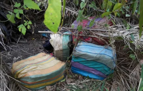 Descubren 214 paquetes de cocaína en manglares de Puerto Caimito