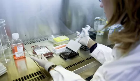Confirman cerca de 175,000 casos de malaria en el estado venezolano de Bolívar