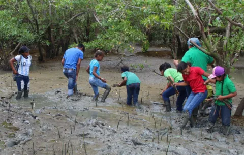 Proyectan mapa de riesgo con miras a proteger manglares en La Chorrera 