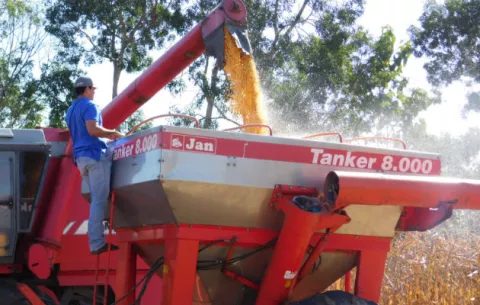 Maiceros en Los Santos dan plazo de quince días al gobierno