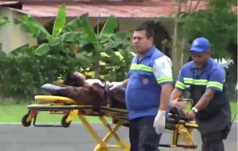 Menor mordido por serpiente se encuentra en estado delicado 