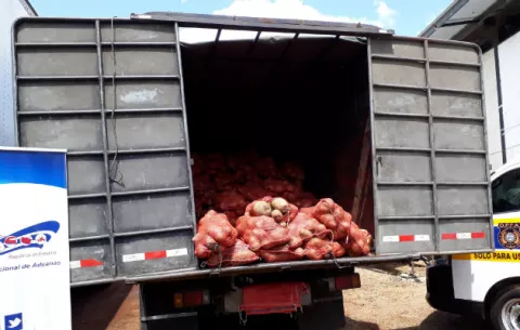 En Chiriquí, continúa la investigación por presunto contrabando de ñame