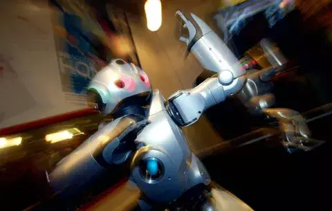 Preparan prototipo de robot de uso doméstico capaz de cocinar y servir la comida 