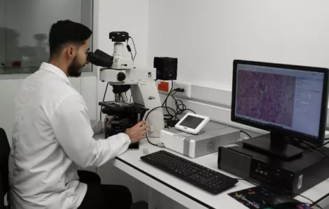 Tatuaje biomédico detecta altos niveles de calcio en la sangre