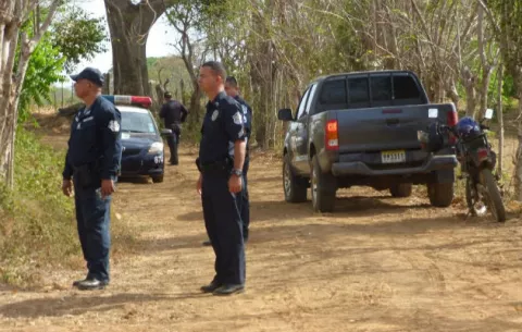 Sacrifican ilegalmente a un toro dentro de una finca herrerana 