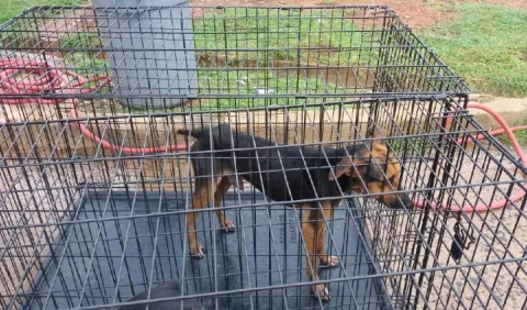Ya es oficial, cárcel para maltratadores