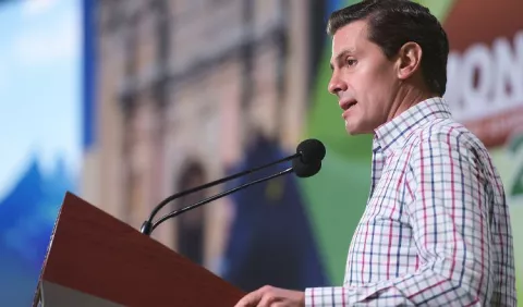 Peña Nieto pide a mexicanos 'menos víscera y más razón' 
