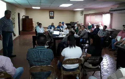 Ganaderos chiricanos en alerta ante posibles casos de brucelosis en fincas 
