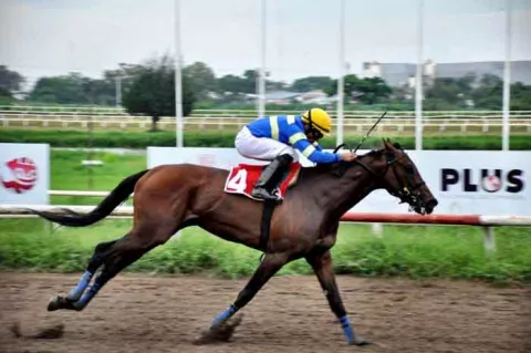 Candy Sugar Lady sale a confirmar su predominio ante las yeguas