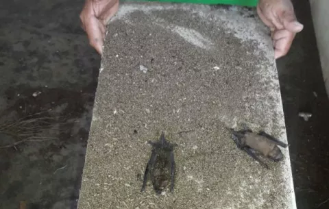 Amenazan con paro de labores por mal estado del colegio de Santa Catalina