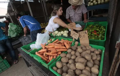 Prevén incremento en el precio de vegetales en los próximos días