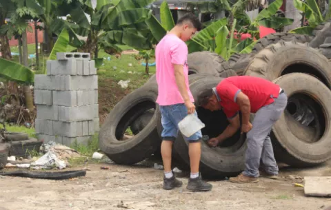 Invasión de mosquitos crea alarma en Chitré 