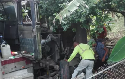 ¡Tremendo susto! Mula termina dentro de una casa en Nuevo Chorrillo