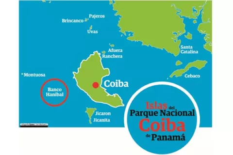 Banco Hannibal en Coiba,  un lugar para explorar especies desconocidas