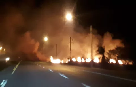 Candela consume pasto en vía Interamericana de Natá