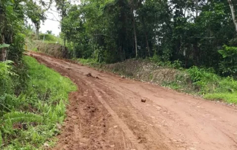 En El Harino de La Pintada, lo matan de un palazo en la cabeza