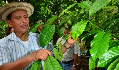 Caficultores del sector Oeste buscan oportunidades en nuevos mercados