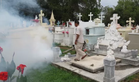 Preocupación: Once nuevos casos de dengue en Ocú 