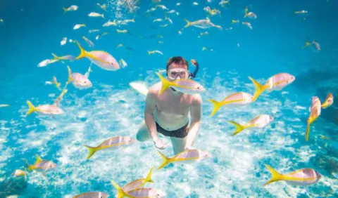 Smitsonian propone mejorar los sitios de buceo