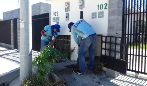 Como gorgojos, David  y  Puerto Armuelles  sin agua 